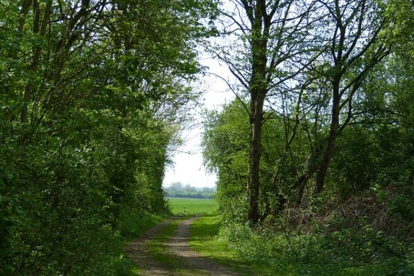 Connecting Stories, Places, and People